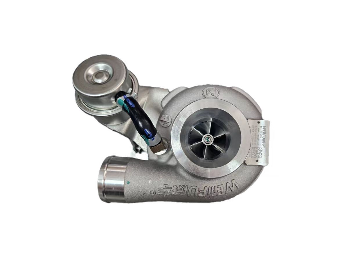 WEIFU Turbocharger Model JP50 Part number X10003725 for cloud D30 national five (3)